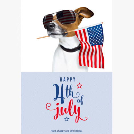 4th of July Dog